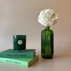 May include: A dark green glass candle in a cylindrical jar with a circular white label, placed on two stacked green books titled Trees and Shrubs and British Insects, next to a tall green glass bottle containing a large white paper flower.