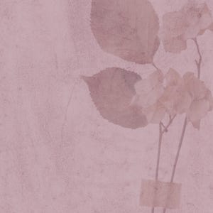 Papel estético vintage - Rosa (primera imagen) / LISTADO DE DESCARGA DIGITAL (¿Necesita un color o tamaño diferente? Contácteme)