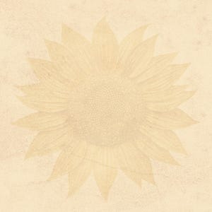 Papel de girasol vintage - Beige cálido (primera imagen) / LISTADO DE DESCARGA DIGITAL (¿Necesita un color o tamaño diferente? Contácteme)