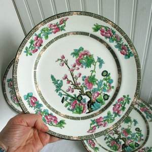John Maddock & Sons - Royal Vitreous - Indian Tree - Set of Three Dinner Plates