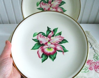 Set of 2 - Modern Orchid - Dinner Plates - Paden City Pottery