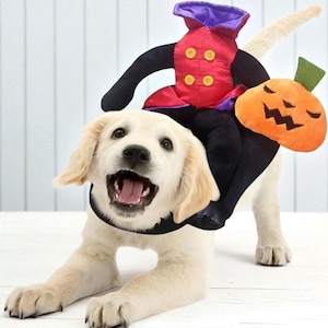 Halloween Costume for Pets, Cat Costume, Puppy Clothes, Cozy Pet Clothing, Pet Accessories, Doggies Clothing, Halloween Cosplay for Cats