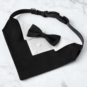 Elegant Pet Collar Tie, Collar Dog, Cat Collar, Bandana Dog, Pet Accessories, Doggies Clothing