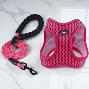 Leine und Geschirr Set, Halsband Hund, Katzenhalsband, Geschirr Katze, Tierzubehör, Gassi Set