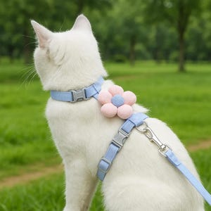 Leine und Geschirr Set, Halsband Hund, Katzenhalsband, Geschirr Katze, Tierzubehör, Gassi Set