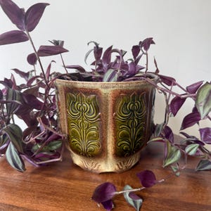 May include: A ceramic planter with a glossy olive green and cream glaze featuring a raised vertical floral relief pattern. The pot contains a trailing Tradescantia zebrina plant with pointed, deep purple and silver-striped leaves.