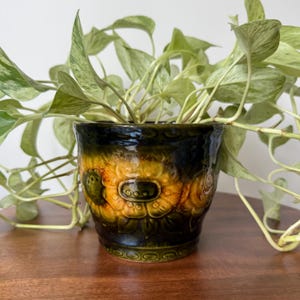 May include: A ceramic plant pot with a dark green and orange floral design. The pot is filled with a green and white variegated plant. The pot is sitting on a wooden surface.