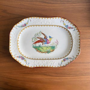 May include: An oval, white ceramic serving platter with a colourful bird illustration in the centre. The bird has red, blue, and yellow feathers. The platter has a floral and gold border and a red rim.