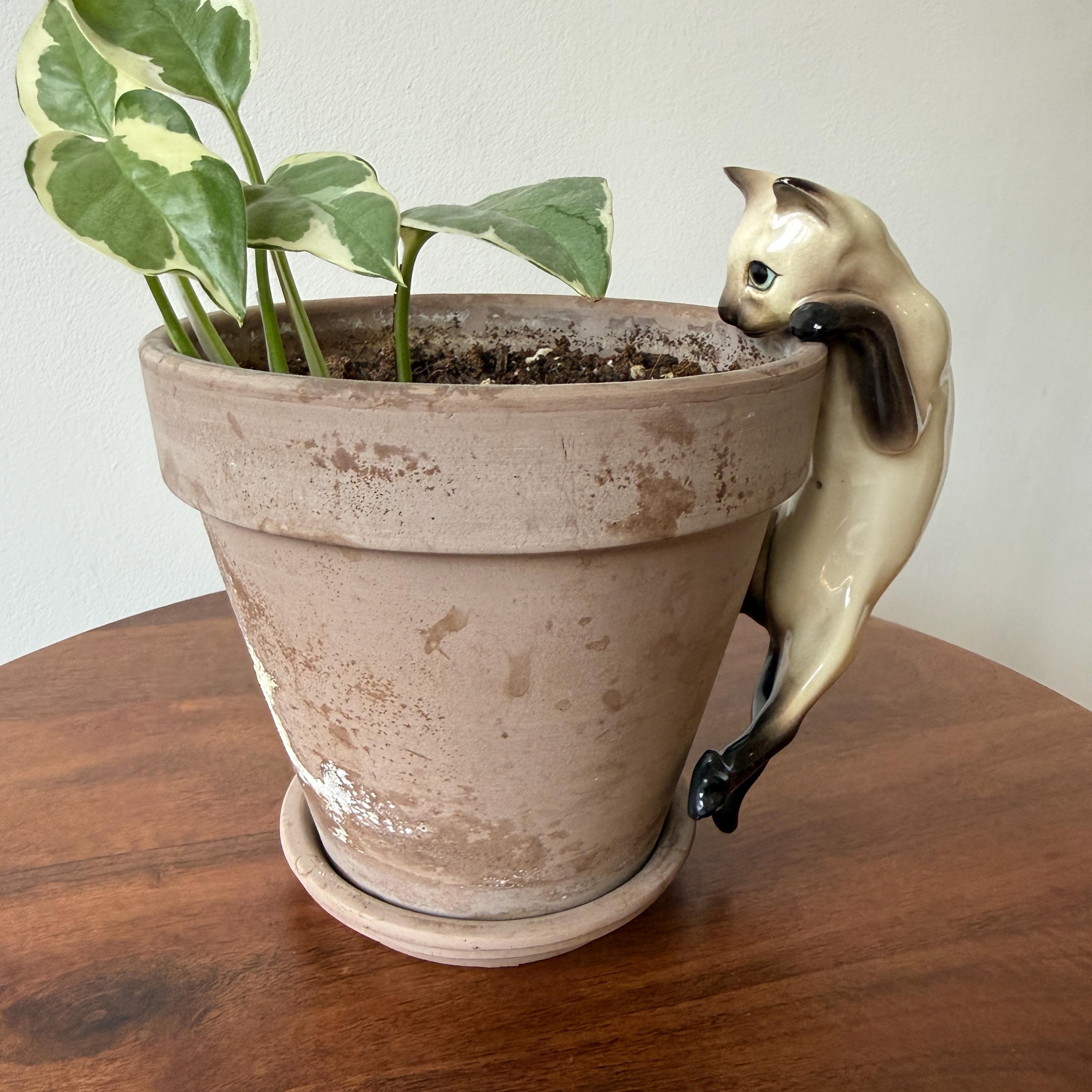 Beswick white cat - Etsy 日本