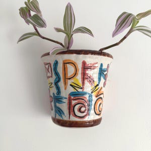 May include: A white ceramic wall planter with colourful abstract designs and the word "SPREE" in orange, blue, and red. The planter holds a plant with green and pink striped leaves. The rim and base of the planter are brown.