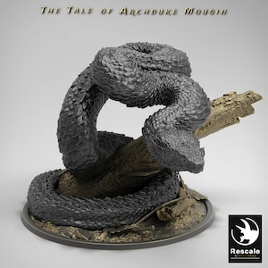 The Viper | 30mm 32mm | Tale of the Archduke of Mousin Vol. 1 | | DnD Minis | Rescale Miniatures