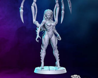 Keriggan 2 / 30 mm 32 mm / Starcraft / RN EStudio