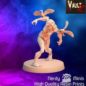 Seagull Zombie | DnD Minis | 32mm 40mm | Zombicide | Vaultz