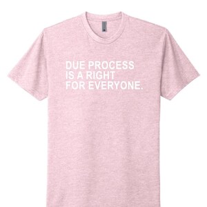 Pink Due Process is a right for everyone shirt, due process shirt
