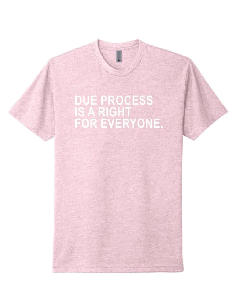 Pink Due Process is a right for everyone shirt, due process shirt