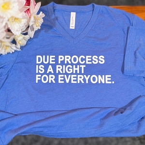 Due Process Is A Right For Everyone, Due Process Shirt & V-Neck, Anti Trump Shirt, Democrat Apparel, Anti ICE tee, Rally Protest Shirt