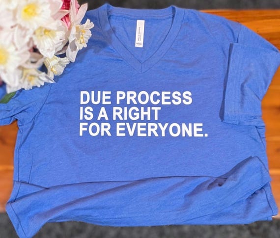 Due Process Is A Right For Everyone, Due Process Shirt & V-Neck, Anti Trump Shirt, Democrat Apparel, Anti ICE tee, Rally Protest Shirt