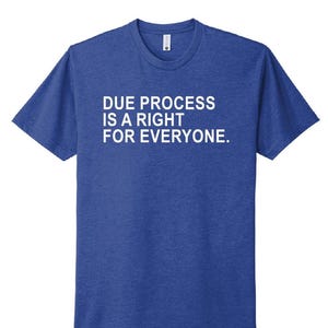Blue V-Neck Due Process Is A Right For Everyone Shirt, Democratic apparel, Protest Shirt, Rally Shirt