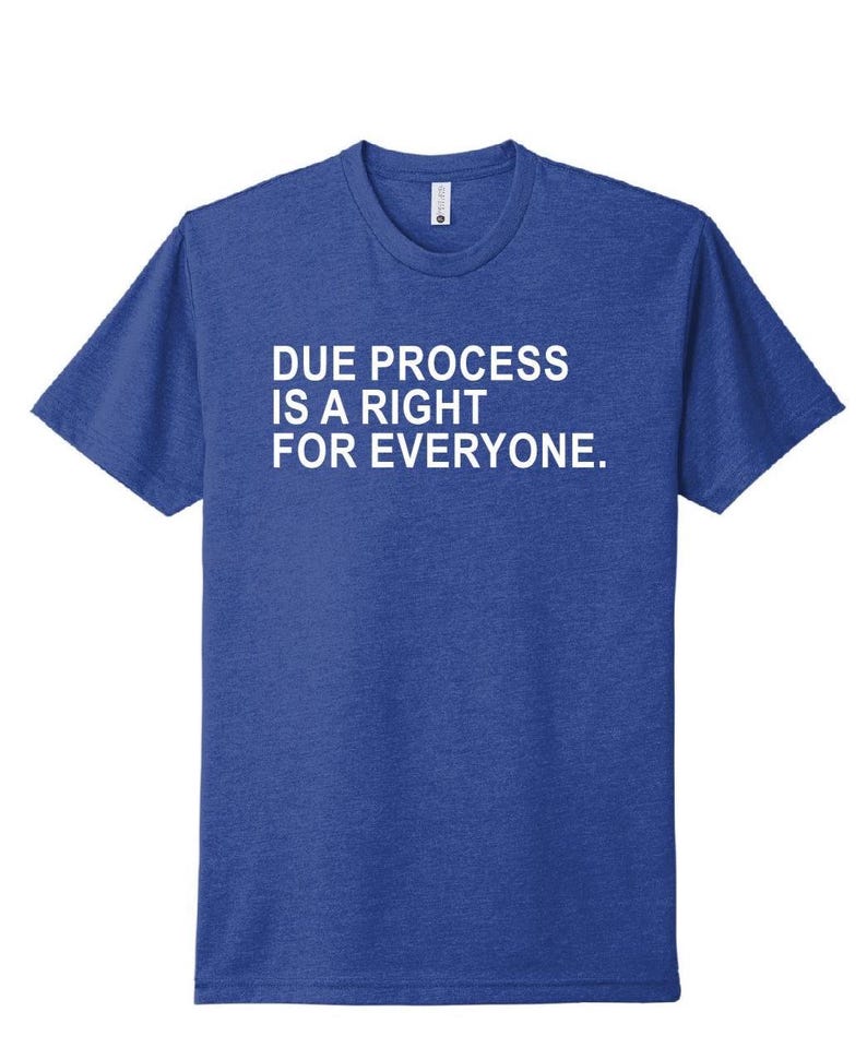Blue V-Neck Due Process Is A Right For Everyone Shirt, Democratic apparel, Protest Shirt, Rally Shirt