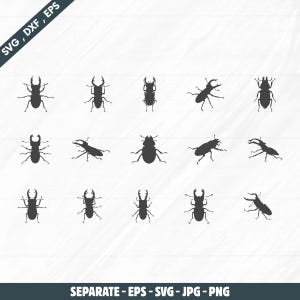 Puede incluir: Una colección de siluetas negras de escarabajos en varias poses. La imagen incluye el texto "SVG, DXF, EPS" y "SEPARATE - EPS - SVG - JPG - PNG". Los escarabajos se representan con detalles.
