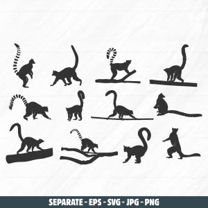 Lemur SVG, Ring-tailed lemur SVG, Lemur silhouette, Ring-tailed lemur silhouette, Lemur silhouettes, Lemur vector set.
