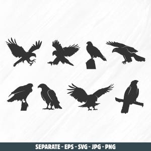 Hawk svg, Hawk silhouettes, Flying hawk silhouette, Tribal hawk silhouette, Hawk vector illustration, Flying hawk svg, Hawk birds svg, eps.