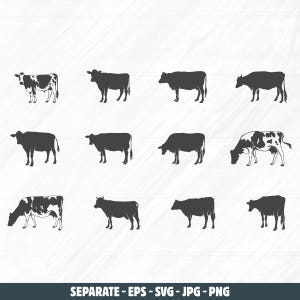 Mjölkko-siluett, mjölkko svg, Holsteinko svg, Holsteinko-siluett, mjölkko-vektor, mjölkko clipart, Holstein mjölkko svg.