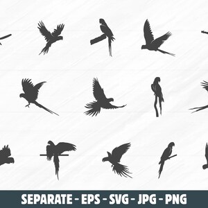May include: A collection of black parrot silhouettes in various poses, including perched on branches and in flight. The image includes the text "DXF. SVG. EPS" in the upper left corner and "SEPARATE - EPS - SVG - JPG - PNG" at the bottom.