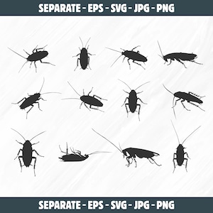 Svg de cafard, silhouette de cafard, cafards svg, icône de cafard, silhouette de cafard mort, vecteur de cafard, eps, svg, dxf, png, jpg.