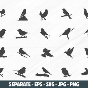 Sparrow Silhouette: Flying Bird Clipart Vector (Digital Download)