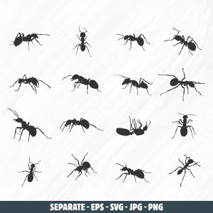 May include: A set of 14 black silhouette images of ants in various poses. The ants are all facing different directions and some are carrying objects. The images are set against a white background.