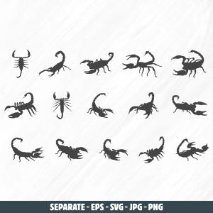Scorpion silhouette, Scorpion svg, Scorpion vector, Scorpion logo, Scorpion clipart, Scorpion svg bundle, eps, jpg, dxf, png.