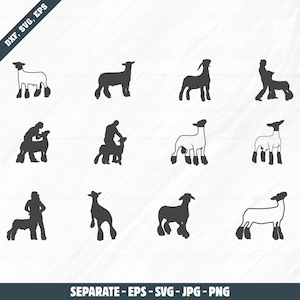 May include: A collection of black and white sheep illustrations in various poses, including standing, lying down, and being handled by a person. The image includes text that reads "DXF, SVG, EPS" and "SEPARATE - EPS - SVG - JPG - PNG".