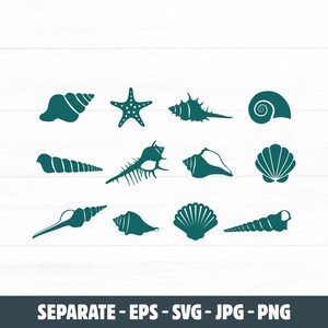 May include: A collection of teal seashell and starfish silhouettes on a white background. The image features various shell shapes, including spiral, conical, and fan-shaped designs. The text at the bottom indicates the file formats available.