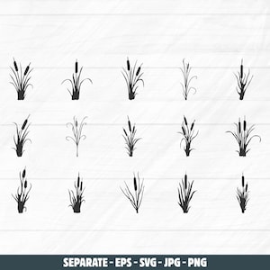 May include: A collection of black silhouette illustrations of various reeds and cattails. The images are arranged on a white wooden background. The bottom of the image contains the text "SEPARATE - EPS - SVG - JPG - PNG".