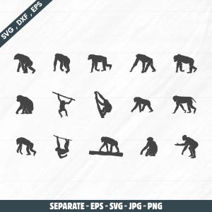 Chimpanzee silhouette, Chimpanzee svg, Chimpanzee vector, Chimpanzee clipart, Chimpanzee vector illustration, Chimpanzee vectors eps, dxf.