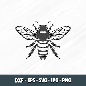 May include: A black and white silhouette of a bee with wings spread out. The bee has a striped abdomen and is facing forward.