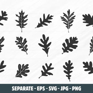May include: A collection of fifteen distinct black leaf silhouettes arranged in three rows of five. Each leaf features a unique shape and serrated edge pattern. The bottom of the image displays the text SEPARATE - EPS - SVG - JPG - PNG.