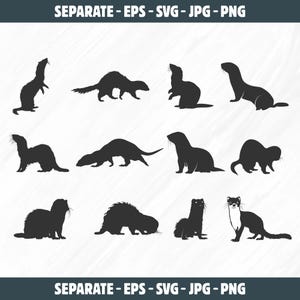 May include: A set of 12 black silhouette images of ferrets in various poses. The ferrets are shown standing, sitting, lying down, and playing.