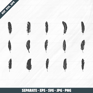 May include: Fifteen black feather silhouettes of varying shapes and sizes are displayed against a white backdrop. The image features text: "DXF, SVG, EPS" in the top left and "SEPARATE - EPS - SVG - JPG - PNG" at the bottom, indicating file formats.