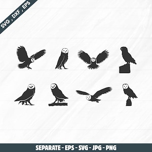 May include: A collection of eight black owl silhouettes in various poses, including flying and perched positions. The image includes the text "SVG, DXF, EPS" in the top left corner and "SEPARATE - EPS - SVG - JPG - PNG" at the bottom.