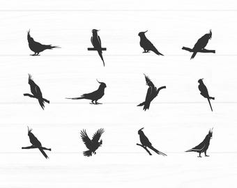 Conjunto de siluetas de cacatúas, cacatúas en formato SVG, silueta de cacatúa, cacatúa en formato SVG, imágenes prediseñadas de cacatúas.