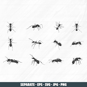 Ants svg, Ants silhouette, Ant clipart, Ant silhouette set, Ants vector set, Ant crawling silhouette, Ant drawing