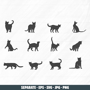 Op de afbeelding: Een verzameling zwarte kat silhouetten in verschillende poses, waaronder staan, zitten en lopen. De katten zijn afgebeeld in een eenvoudige, minimalistische stijl, geschikt voor grafische ontwerpprojecten. De afbeelding bevat de tekst "SEPARATE - EPS - SVG - JPG - PNG".