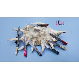May include: An assortment of Damascus steel knives with various handle colors, including red, brown, black, and cream. The knives are arranged on a large, textured, off-white seashell against a light blue background. The logo "URSA INTERNATIONAL" is visible.