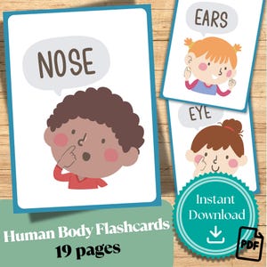 Human Body Flashcards for Preschool & Kindergarten | 19 Printable Anatomy Cards | Early Childhood Educational PDF | Parts of the Body Flashc