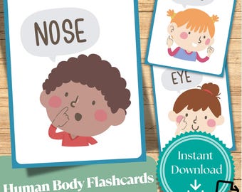 人体フラッシュカード：幼児向け解剖学学習（PDFダウンロード、19枚のカード）