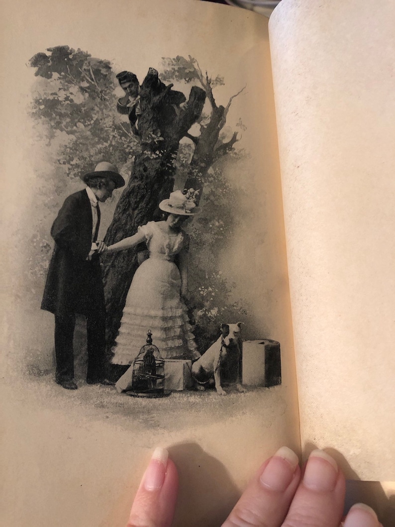 The Carpetbagger CarpetBagger 1899 Book Opie Read Etsy