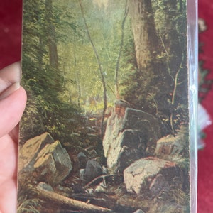 Antike Postkarte Natur-Szene Naturwald Waldland