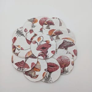 Reusable Cotton Rounds Facial Pads for Makeup Removal, Eye Wipes & Breast Pads Eco-Friendly Washable